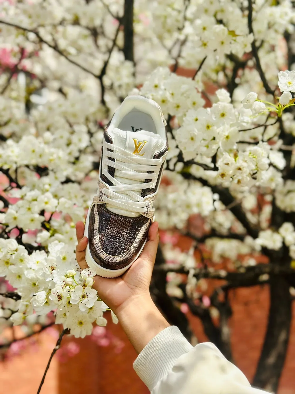 Louis Vuitton LV Trainer 3