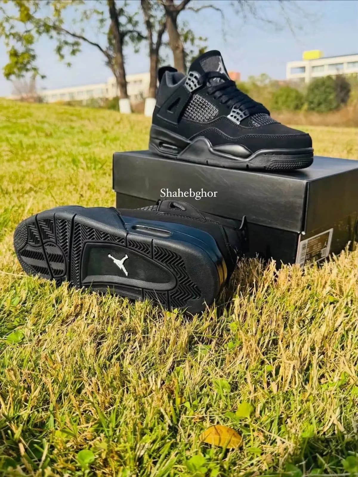 Air jordan 4 (BLACK CAT)