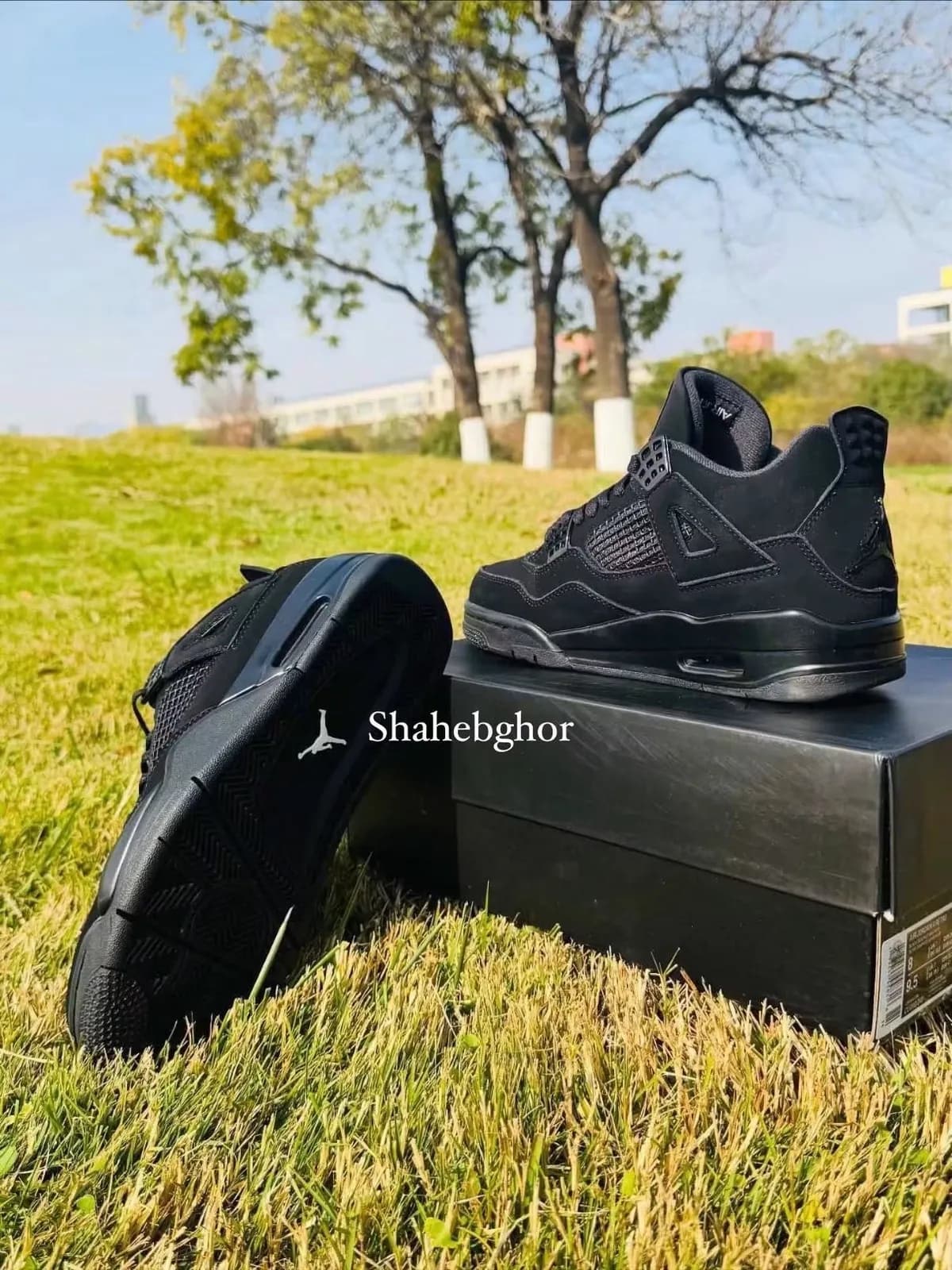 Air jordan 4 (BLACK CAT) 5